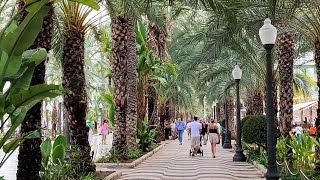 Conheça a Avenida Principal de Alicante na Espanha [upl. by Leffert]