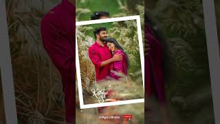 🌺Mamaney unna kanama whats app stutas songs 🌺 [upl. by Khudari]