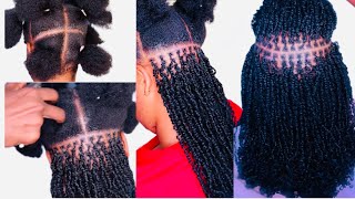 How to micro twist with curly hair minitwist microtwists twist twostrandtwist [upl. by Curcio]