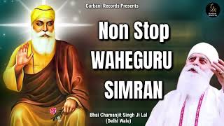 Non Stop Waheguru Simran • Bhai Chamanjit Singh Ji Lal Delhi Wale • Latest Simran 2022 [upl. by Novhaj26]