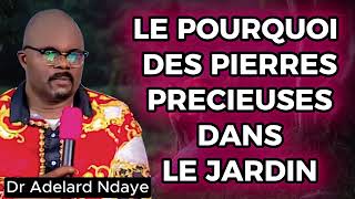 LE POURQUOI DES PIERRES PRECIEUSES DANS LE JARDIN Émission Dr Adelard Ndaye [upl. by Anirroc]