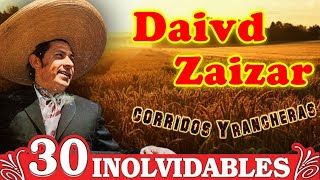 David Zaizar Exitos  30 Exitos Corridos y Rancheras De David Zaizar [upl. by Vergil]