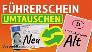 Zeit für den Führerscheinumtausch Wann läuft deine Frist ab ⏳ [upl. by Yenmor]