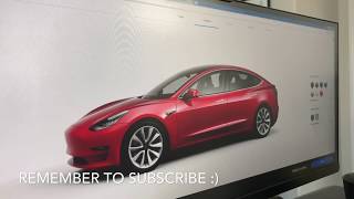 Tesla Model 3 Color Selection Common Mistakes [upl. by Yelbmik206]