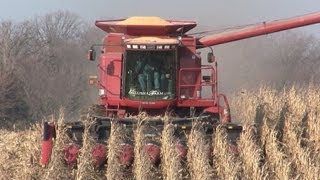 Galusha Farm  Case IH 2388 Combine on November 15 2012 [upl. by Denis159]