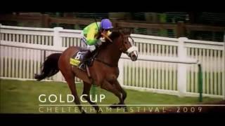 Kauto Star Tribute  All The Kings Horses [upl. by Eerihs]