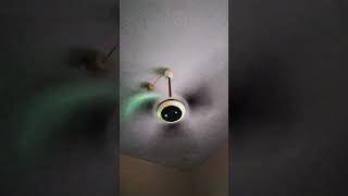 Ceiling Fan Drop Test On 02112024 [upl. by Yleak]