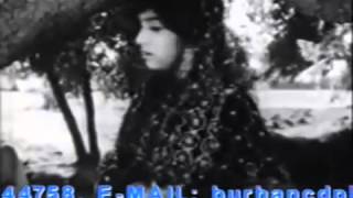 NOOR JEHAN AKHIYAN DE MOTIYAN DI TUT GYEE PUNJABI HD [upl. by Rask377]