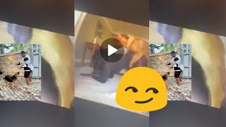 Confession of a Lagos Girl having fun with a Dog Full Tape [upl. by Otrebliw]