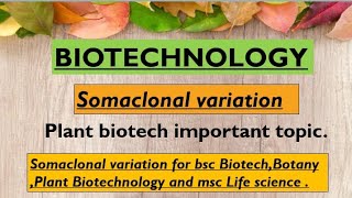 Somaclonal variation  Definition HistoryReasontypes application in hindi and english [upl. by Ardnaiek]