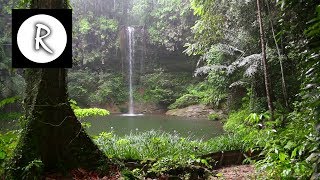 10 Hrs Rainforest amp Rain for Relaxing Nature Sounds for Sleep Meditation Insomnia SPA Study [upl. by Radke921]