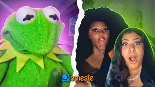 Ladies love Kermie on Omegle [upl. by Assirehc]