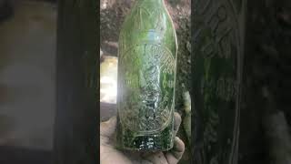 victorian gampc moores beer bottle found bottle digging Glasgow Scotland [upl. by Georgeta]