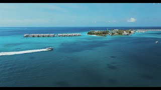 The Premium Speedboat Transfer to Hilton Maldives Amingiri [upl. by Kinata330]