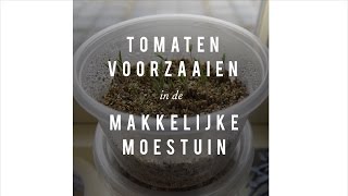 Tomaten voorzaaien op vermiculiet [upl. by Ennywg]