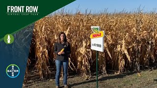 The Front Row DEKALB® Corn Hybrid DKC4099RIB [upl. by Kaitlynn]