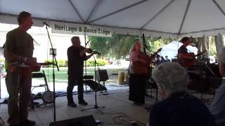 The Driftwoods Performing Hard Times at Florida Folk Festival 2015 [upl. by Enitsuga]