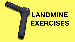 Landmine Attachment Exercises Workout for Chest Shoulders Back Legs amp Abs [upl. by Arteid170]