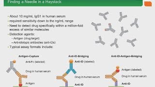 Developing Recombinant Anti Idiotypic Antibodies for PKPD and Immunogenicity Assays [upl. by Arbma874]