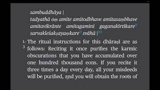 Dhāraṇī Praising the Immeasurable One Audiobook wtext Tr Dharmachakra Cttee rAngus Cargill [upl. by Randi]