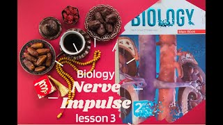 حل اسئلة المعاصر 2023 biology ثانية ثانوي The Nerve Impulse lesson 3  Chapter 5 part 2 [upl. by Aitnohs]