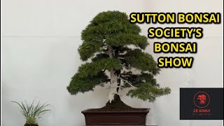 BONSAI SHOW RHS WISLEY [upl. by Athalla589]