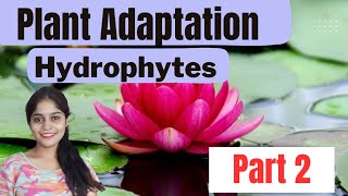 HYDROPHYTES PLANT ADAPTATION  ECOLOGICAL ADAPTATIONS biology csirnet neet [upl. by Nebuer150]