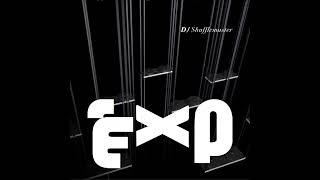 DJ Shufflemaster  EXP [upl. by Letnwahs]