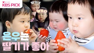 슈퍼맨이돌아왔다 딸기 줘 은우 최애 간식 딸기🍓딸기농장 차려주고픈 은우 딸기 먹방 모음😋｜KBS 방송 [upl. by Eilyk]