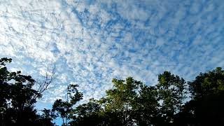 Altocumulus Clouds in the Grottoes VA 6924 [upl. by Hameean]