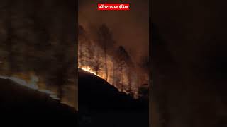 गाँव तक आई जंगल की आग  Forest Fire  Uttarakhand  India [upl. by Enneyehc465]