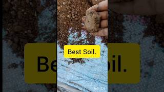 Gamle ke liye best mitti🧺gardeninggamle ki mitticontainer gardeningbest potting mixorganic [upl. by Zanahs]