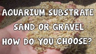 AQUARIUM SUBSTRATE HOW DO YOU CHOOSE SAND OR GRAVEL [upl. by Xavier]