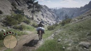 Red Dead Redemption 2  Mourir avec un peau légendaire  Perdue [upl. by Martinez]