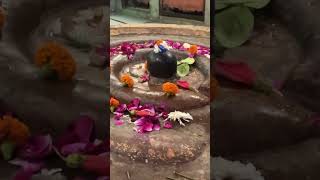 Pls subscribe 🙏 har harharmahadev bholenath baba kedarnath bass [upl. by Giraud533]