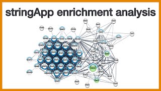 stringApp enrichment analysis Brief introduction to the GSEA functionality of Cytoscape stringApp [upl. by Thorwald]