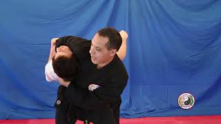 Kempo Karate  Combination 13 [upl. by Aronid]