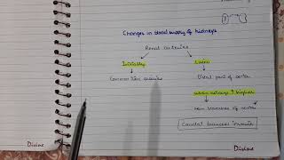 Development of urinary system Part 3  Positional changes and changes in blood supply of kidneys [upl. by Prevot]