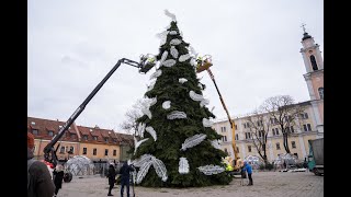 Parodė vieną laukiamiausių miestų eglių šiemet lankytojus kvies iššūkiui [upl. by Neetsirk]