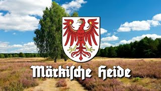 Märkische Heide  German Marching  Homeland Song  Instrumental Version [upl. by Ephrayim461]