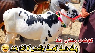 Landa Bazar Sasta Mall  Gondal Mandi Attock Update August 2023 [upl. by Jenda]