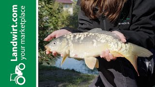 Fischzucht mit System  landwirtcom [upl. by Goda]