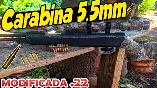 Carabina de pressão 55mm modificada pra munição 22lr cano fixo [upl. by Hsirehc]