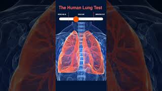 Test Human Lungs [upl. by Ahtanaram]