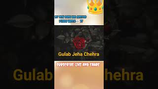 Gulab Jeha Chehra New Song newmusicrelease newpunjabisong newpunjabisong2024 [upl. by Norbel]