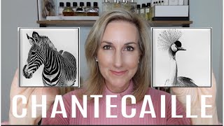 FULL FACE OF CHANTECAILLE SALE RECOMMENDATIONS   CHANTECAILLE HOLIDAY 2020 SWATCHES and DEMO [upl. by Martinelli674]