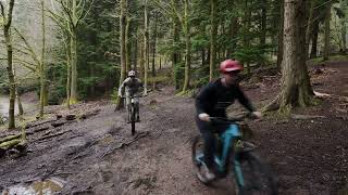 The Forest of Dean Downhill Mountain Bike Trails  Official Pedalabikeaway Trailer [upl. by Yenor]