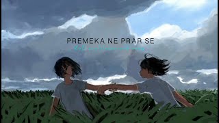 PREMEKA NE PRAR SE  premika ne pyar lofi song love lofi [upl. by Tullus]