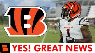 Cincinnati Bengals Get GREAT News Before NFL Week 1 [upl. by Wiedmann699]