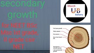 secondary growth and periderm [upl. by Aw]